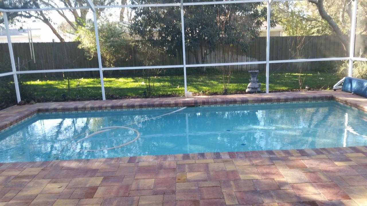 Modern Pool * Spring Hill