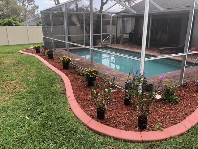 Modern Pool *